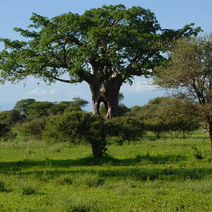 Tansania 2011 1027