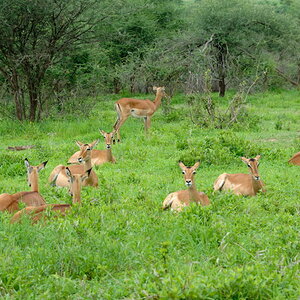 Tansania 2011 1196