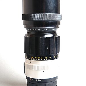 xDSC 1405