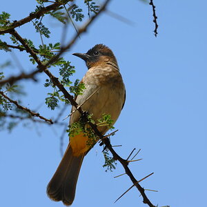 Tansania 2011 1431