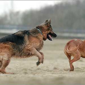 ich mach Dich nass