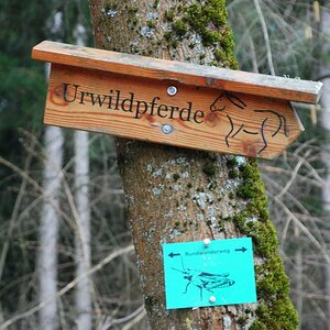 DSC 1107 Bildgröße ändern