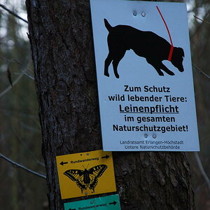 DSC 1134 b Bildgröße ändern