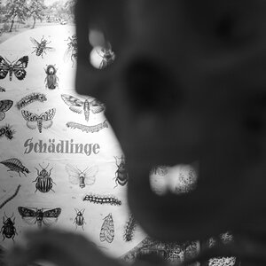 Ehem. Schulraum einer Dorfschule
DSC 1035 web bw crop