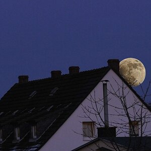 comp Mond 3