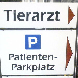 Tierarzt Parkplatz
