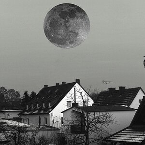comp Mond F16 5