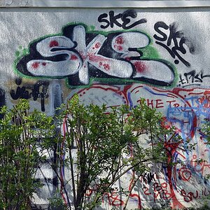 graffiti web