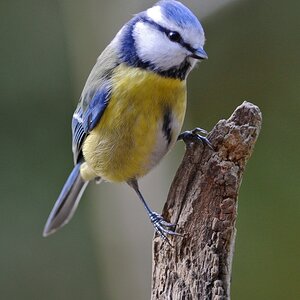 20120226 2638 [NIKON 1 V1] 300 mm,1 160 Sek. bei ƒ   2,8