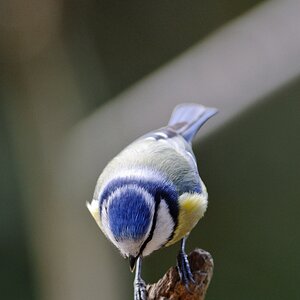 20120226 2631 [NIKON 1 V1] 300 mm,1 160 Sek. bei ƒ   2,8