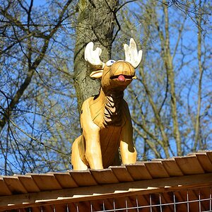 800 0009
