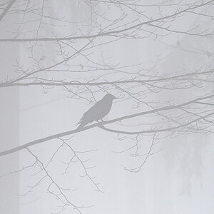 HUE 8767 NX 2