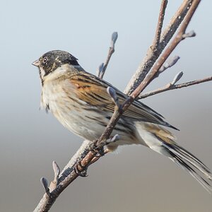 20120325 5522 [NIKON 1 V1] 500 mm,1 320 Sek. bei ƒ   6,3