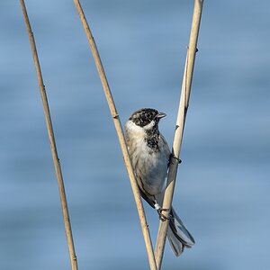 20120325 8383 [NIKON D7000] 500 mm,1 250 Sek. bei ƒ   8,0