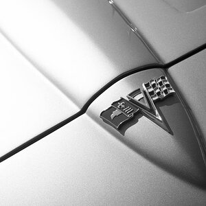 Stingray SW  D2X1841