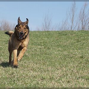 20120326 0321139 1 2 comp