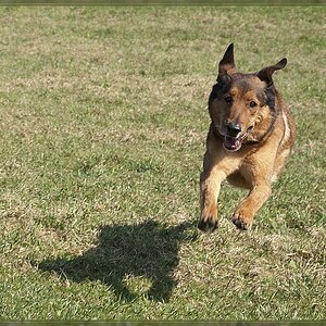 20120326 0321130 1 2 comp