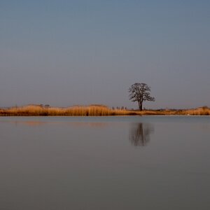 Seewinkel