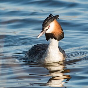 20120325 5639 [NIKON 1 V1] 500 mm,1 500 Sek. bei ƒ   6,3