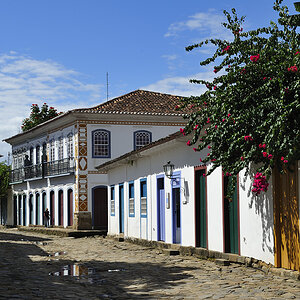 DSC0050 web