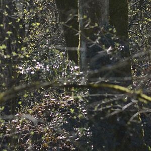 DSC 6287vers1 1
