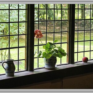 Fensterstillleben