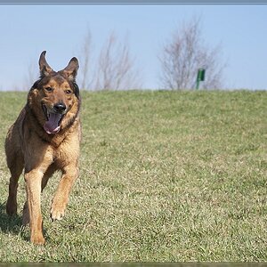 20120326 0321141 1 3 comp