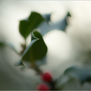 Micro2