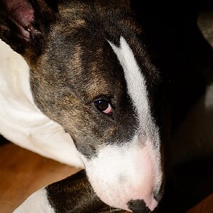 120212 Lise 006 A