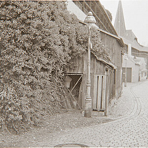 DSC2312 bearbeitet 1