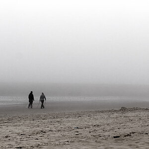 strandläufer