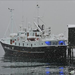 acomp Tromsoe 20120221 0058
