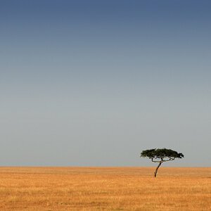 Masai Mara
