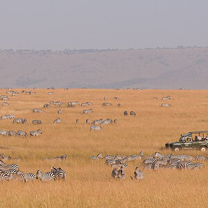 Masai Mara 7357