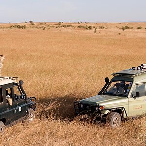 Masai Mara 7620