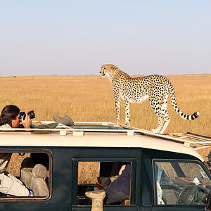 Masai Mara 7707