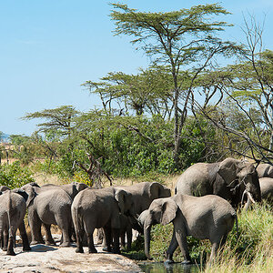 Masai Mara 7414