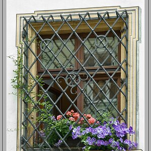 Blumenfenster mit Gitter