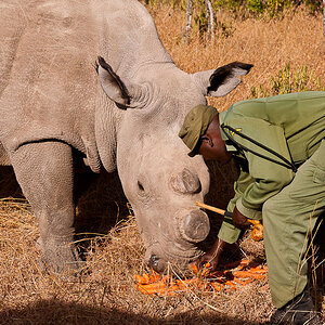 Ol Pejeta 6896