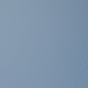 Flecken