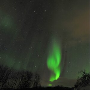 acomp Tromsoe 20120223 1544 filtered bb