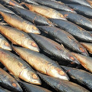 Fische werden geräuchert
James Town
0969