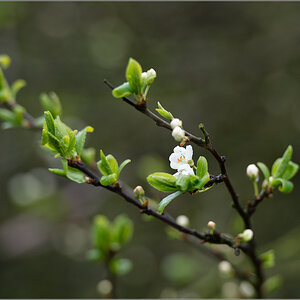 April2