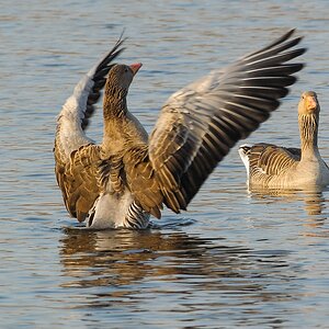 20120321 4170 [NIKON 1 V1] 420 mm,1 320 Sek. bei ƒ   7,1
