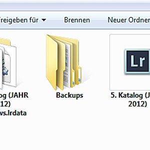 Lightroom 4 Backup