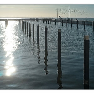 yachthafen zinnowitz2