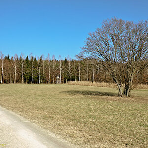 DSC5834