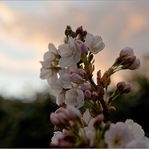 April6