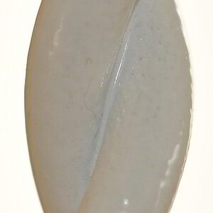 DSC 8366