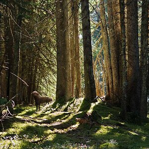 DSC9261